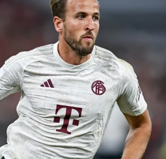 战与机遇 战与机遇